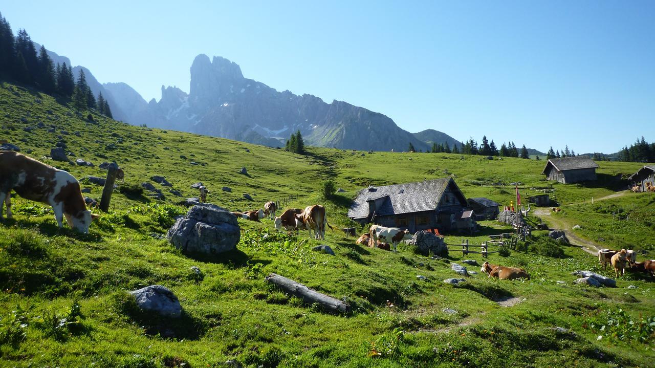 Ferienhaus Hummelbrunner Bad Goisern Εξωτερικό φωτογραφία